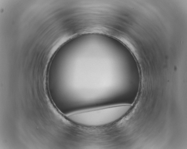 X0000088860949200706080747