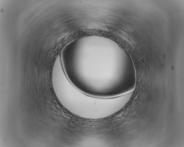 X0000088860965200706080746