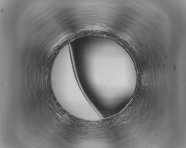 X0000088860968200706080746