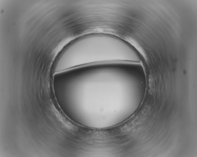 X0000088860972200706080746