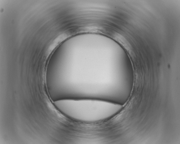 X0000088860994200706080746