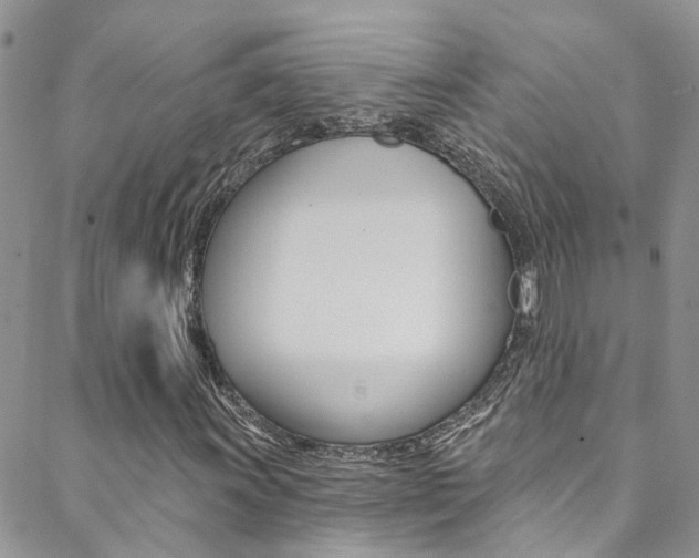 X0000088861011200706080745