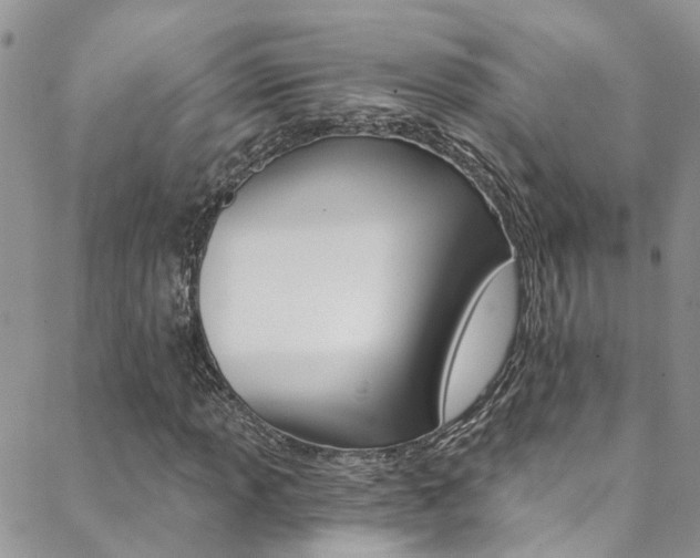 X0000088861013200706080745