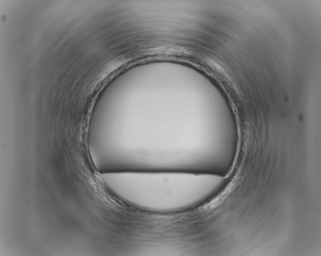 X0000088861017200706080745