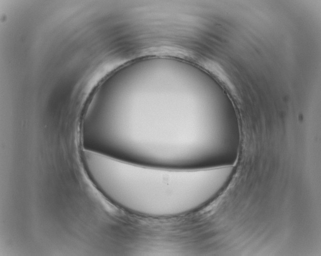 X0000088861040200706080745
