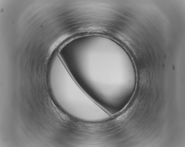 X0000088861066200706080745
