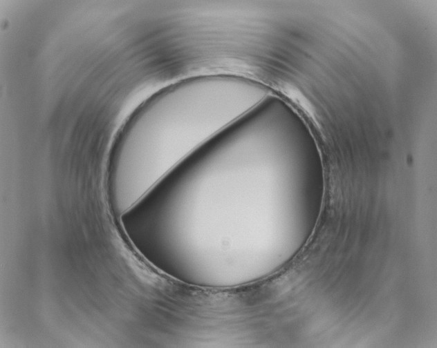 X0000088861072200706080745