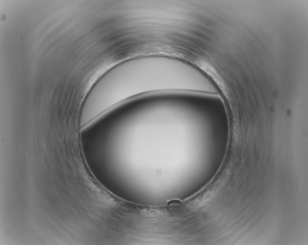 X0000088861089200706080744