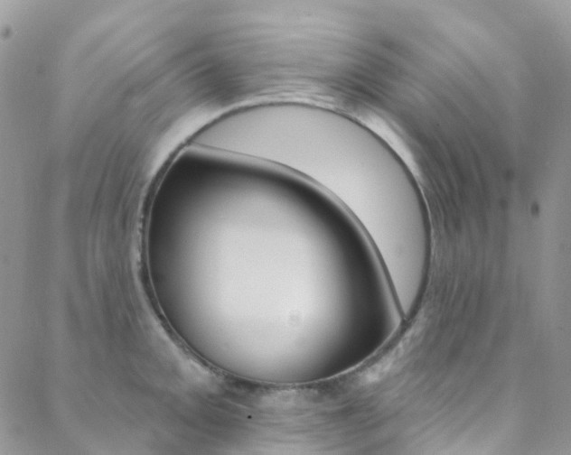 X0000088861093200706080744