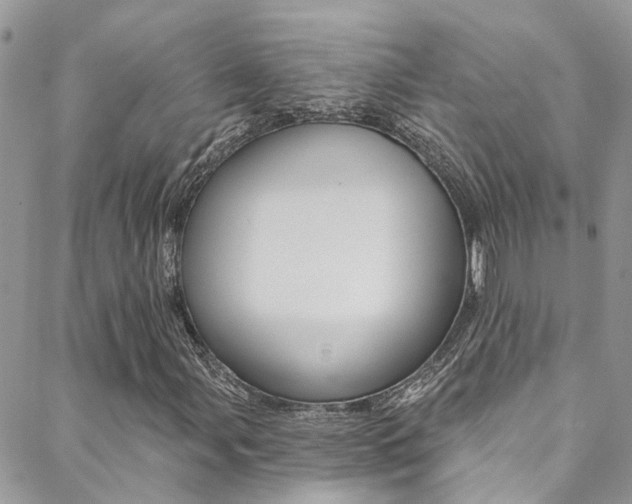 X0000088861107200706080743
