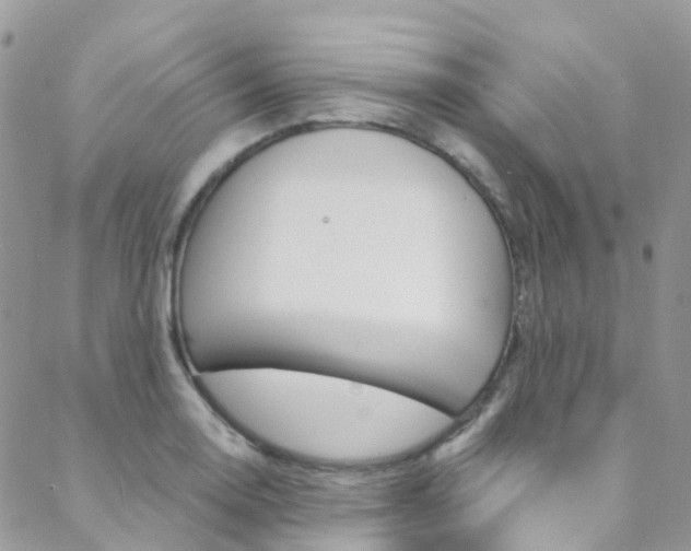 X0000088861130200706080744