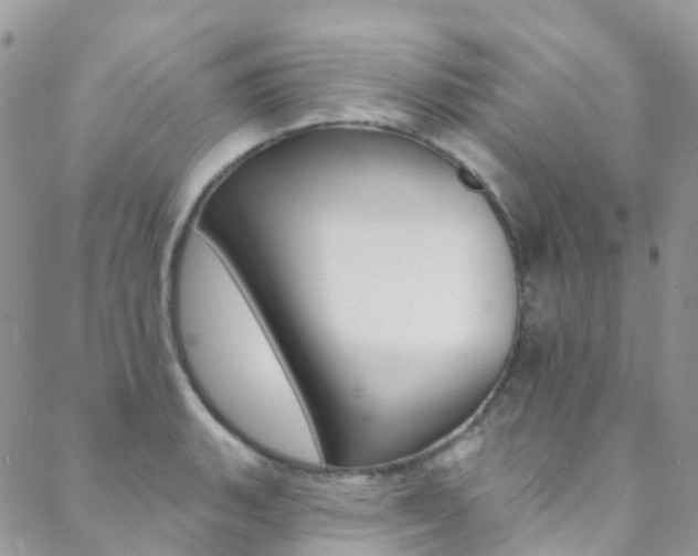 X0000088861135200706080744