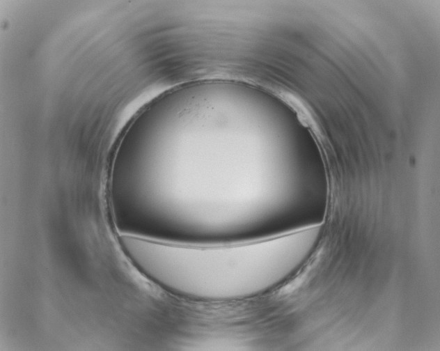 X0000088861149200706080744