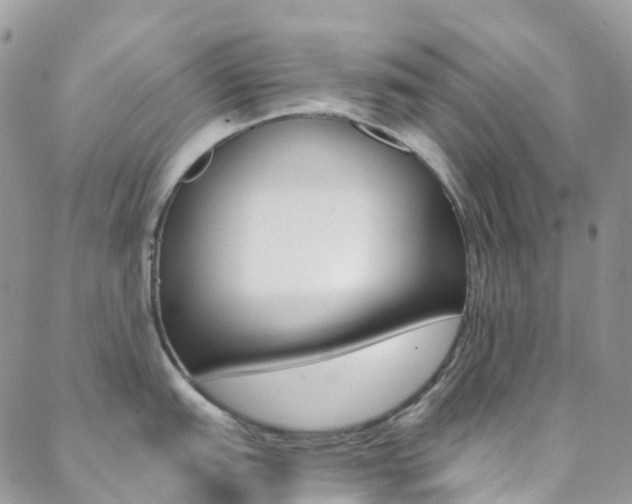 X0000088861151200706080744