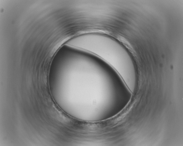 X0000088861177200706080743
