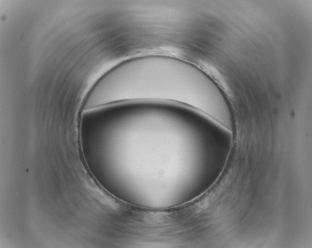 X0000088861184200706080743