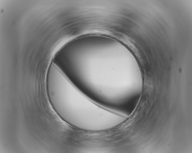 X0000088861199200706080743