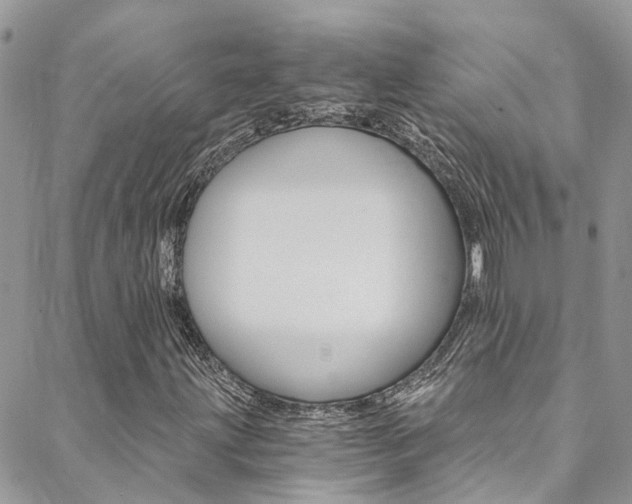 X0000088861203200706080742