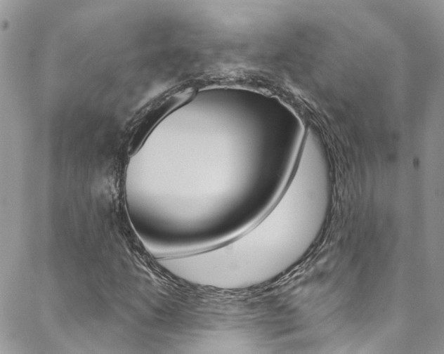 X0000088861206200706080742