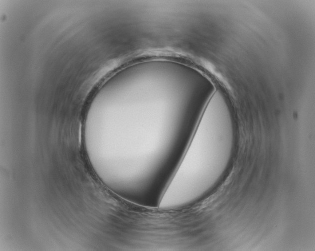 X0000088861221200706080742