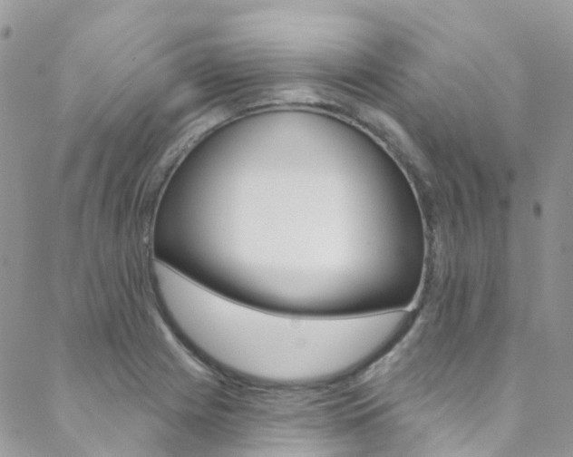 X0000088861225200706080742