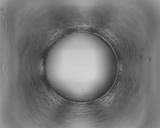 X0000088861252200706080742
