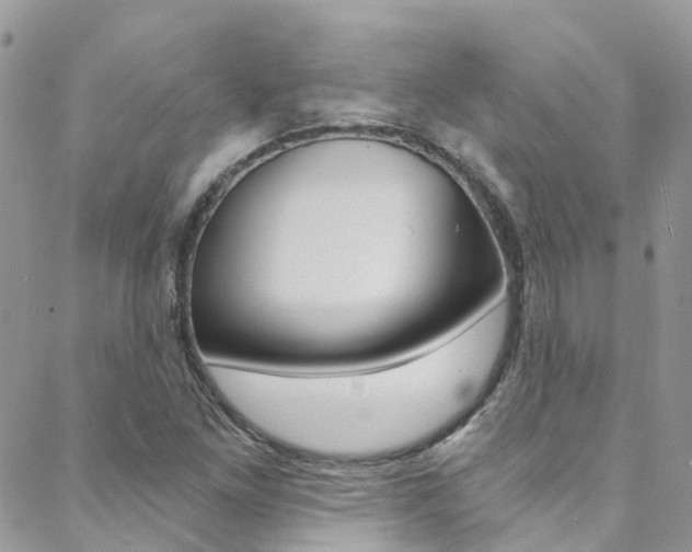 X0000088861261200706080742