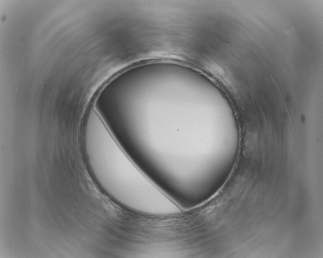 X0000088861268200706080741