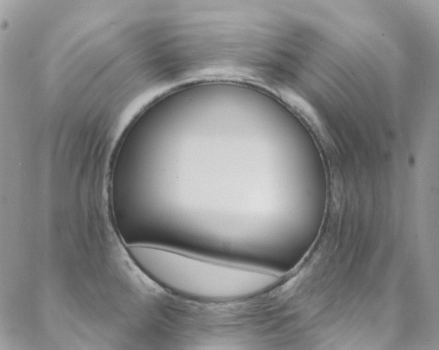 X0000088861288200706080741
