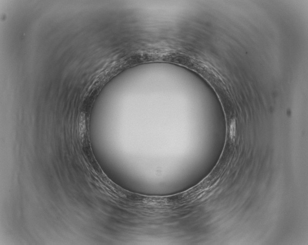 X0000088861299200706080740