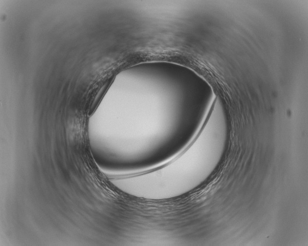 X0000088861300200706080740