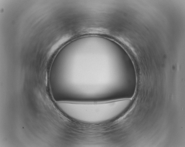 X0000088861317200706080741