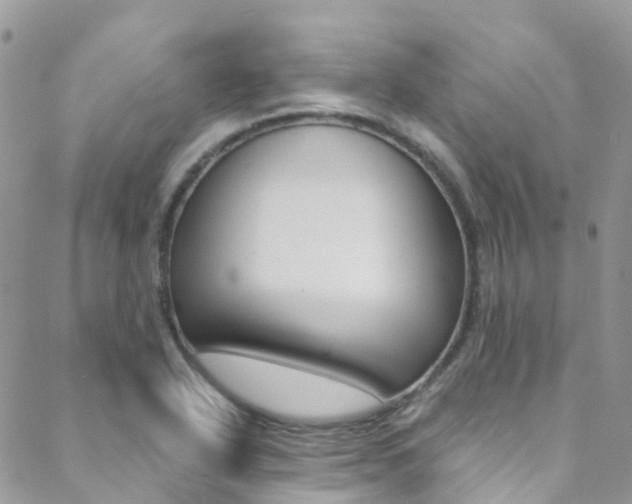 X0000088861318200706080741