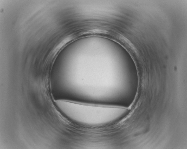 X0000088861321200706080741
