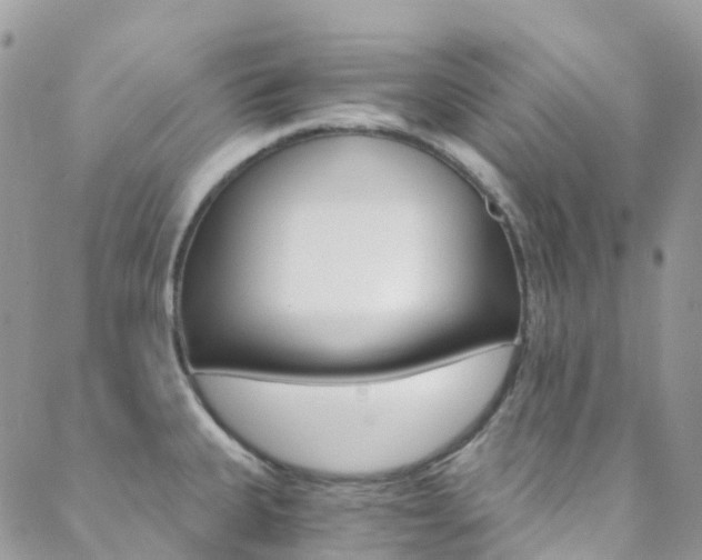 X0000088861335200706080741