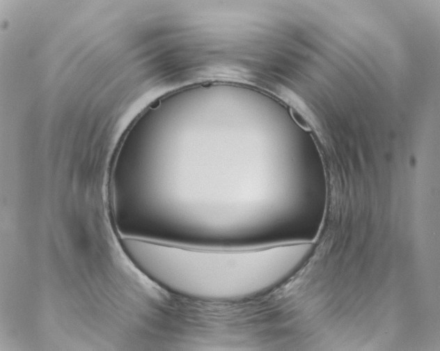 X0000088861339200706080741