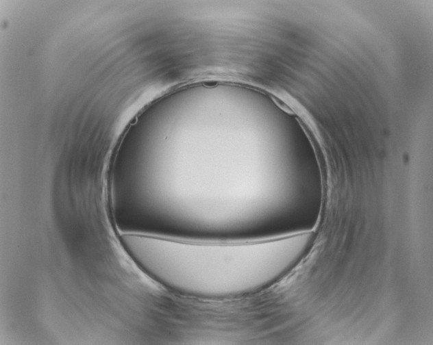 X0000088861341200706080741