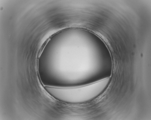 X0000088861342200706080741