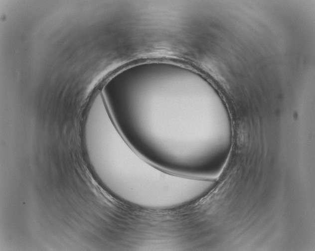 X0000088861356200706080740