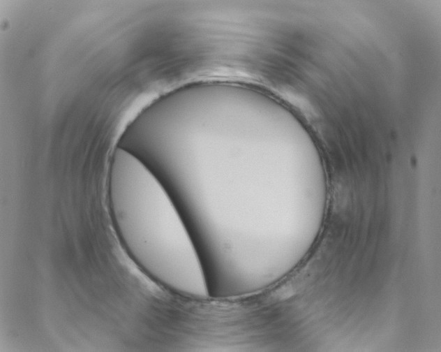 X0000088861374200706080740