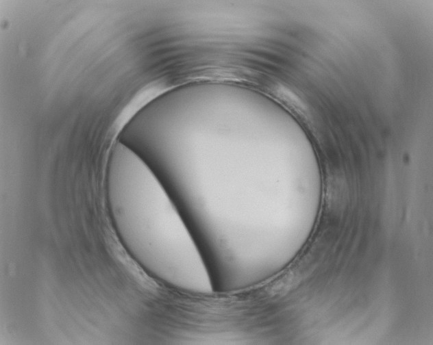 X0000088861378200706080740