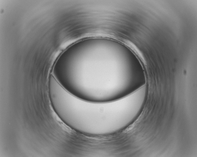 X0000088861388200706080740