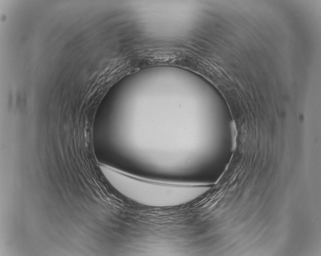 X0000088861394200706080739
