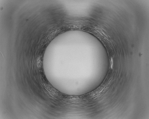 X0000088861395200706080739