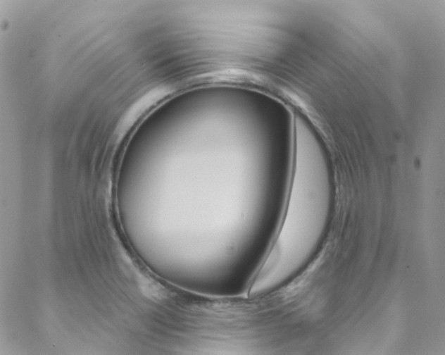 X0000088861418200706080739