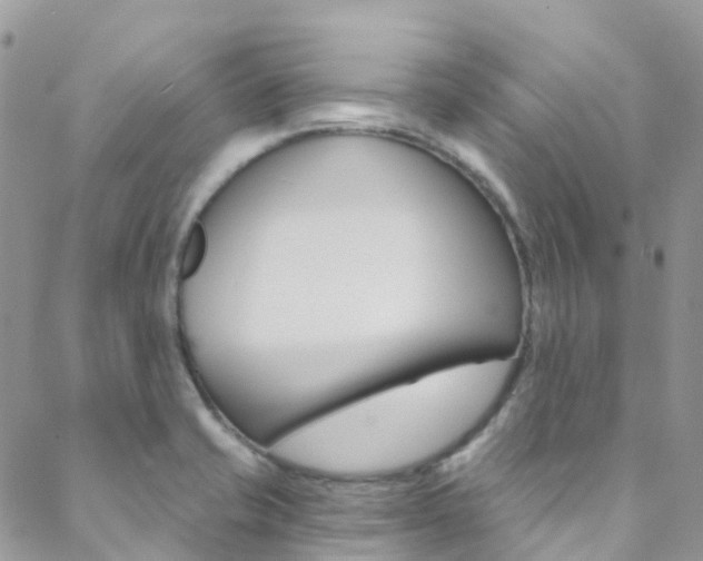 X0000088861421200706080739
