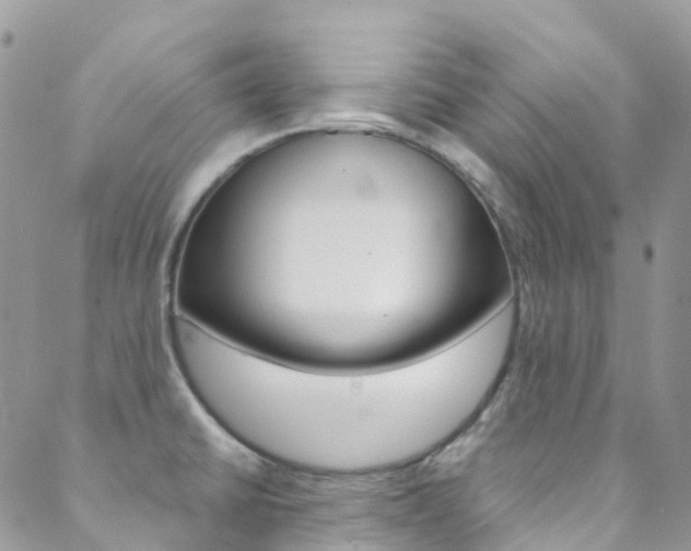 X0000088861430200706080739