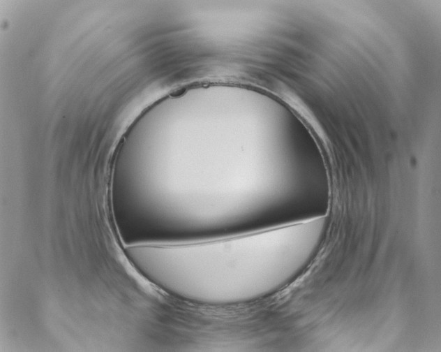 X0000088861437200706080739