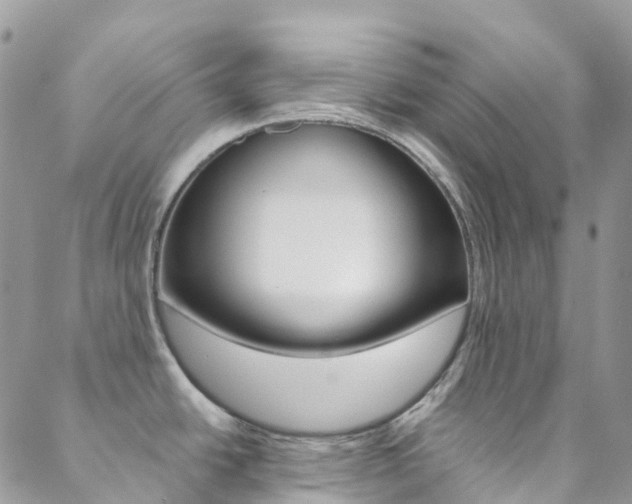X0000088861438200706080739