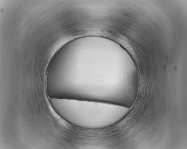 X0000088861439200706080739